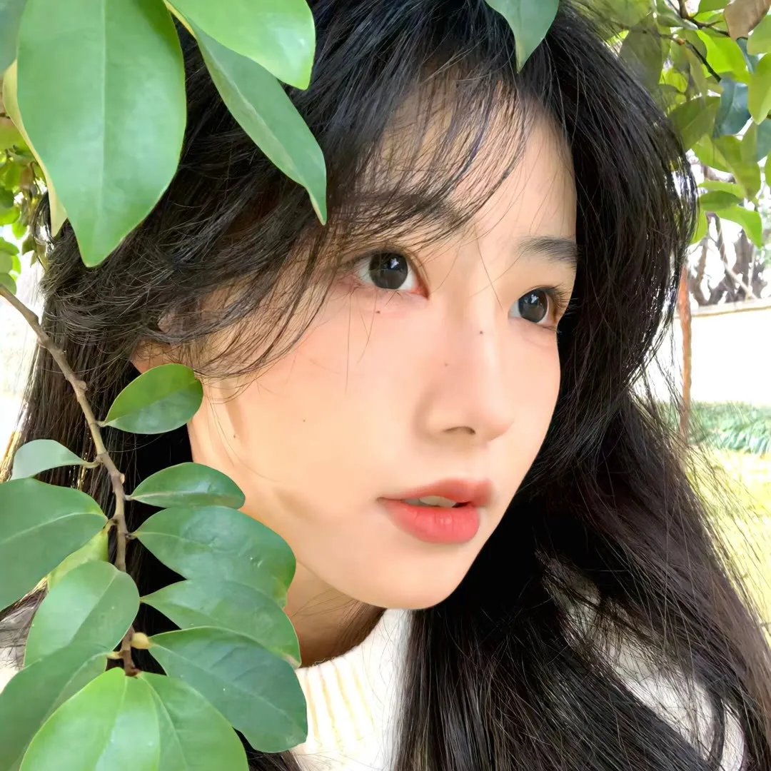 山有木兮木有心